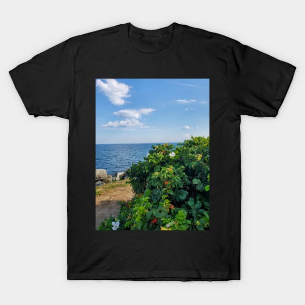 Beach Trip: The Prequel T-Shirt by etherealwonders